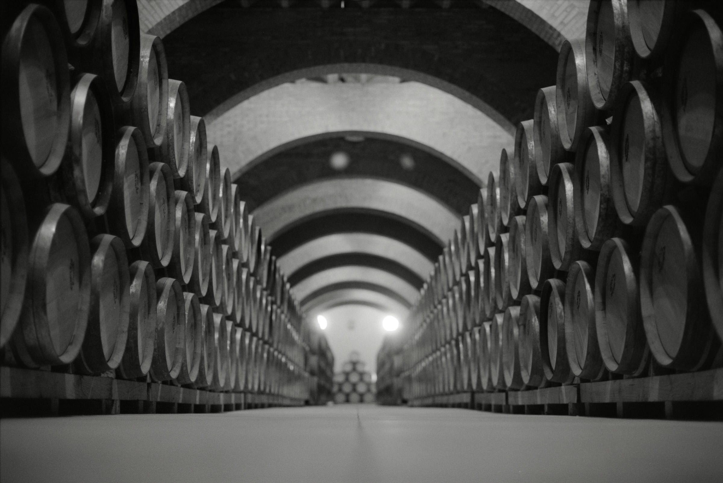 AHP F1995 05 007 sc240826 img17 NLP